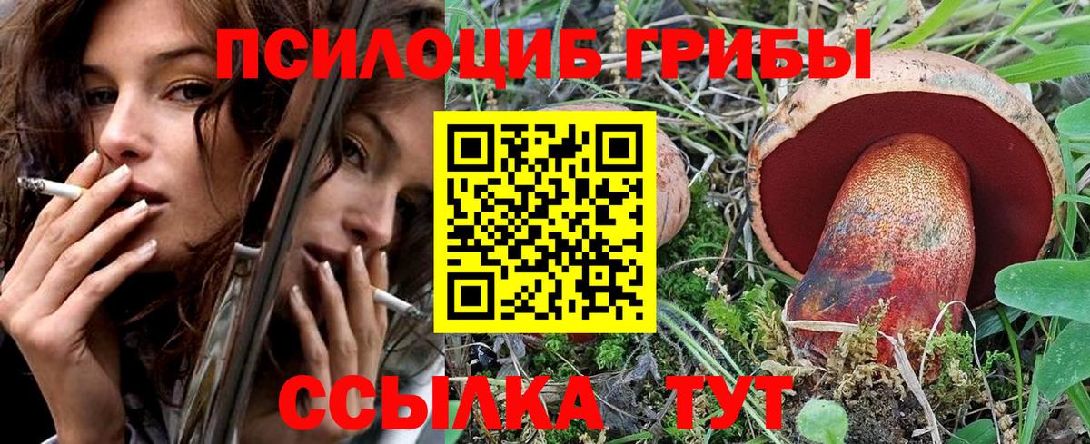 Псилоцибиновые грибы MAGIC MUSHROOMS  Вход с VPN  Псилоцибиновые грибы мицелий  Скопин 